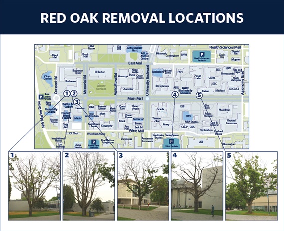 Web image Tree locations maps copy Web image Tree locations maps copy